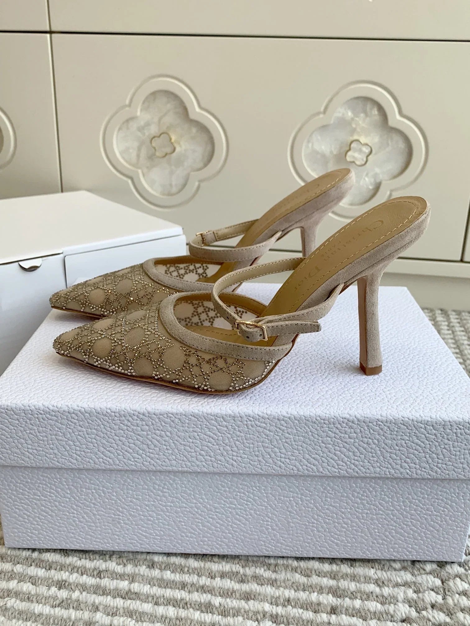 Dior 2026 Capture Heeled Mule 100mm Mesh 884749